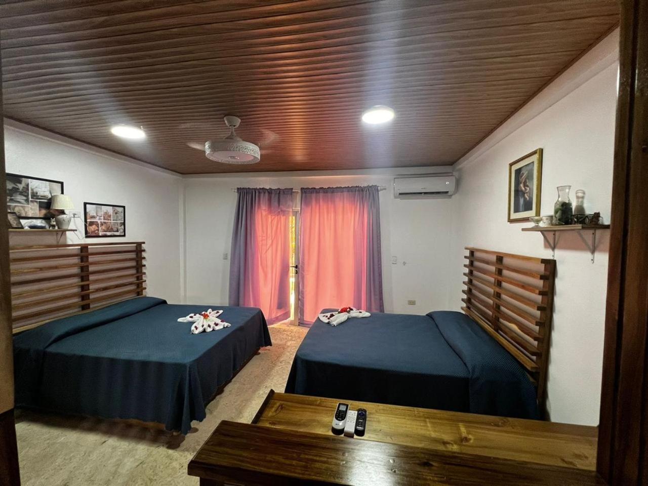 Piergiorgio Palace Hotel Puerto Plata Cameră foto